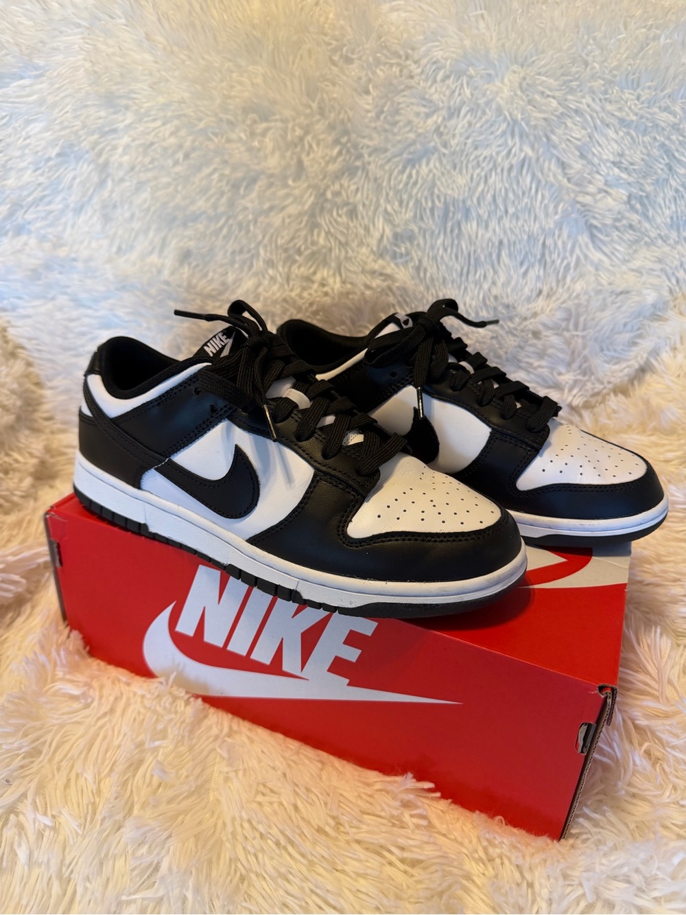 Nike Dunk Low Retro